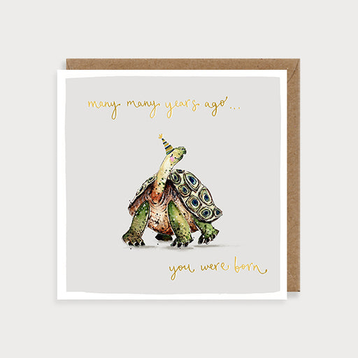 Tortoise Card - many many years ago...you were born - Louise Mulgrew