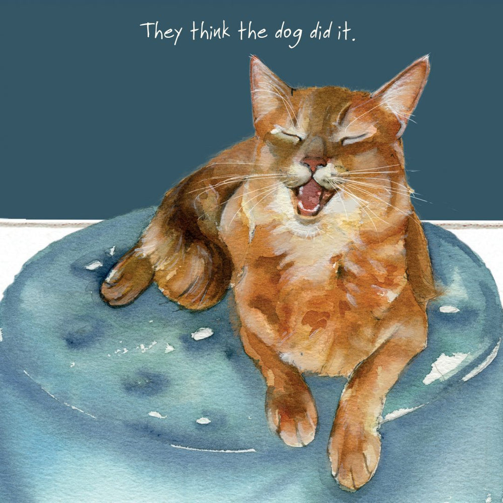 Somali Cat Card - They think the dog did it - From The Little Dog Laughed