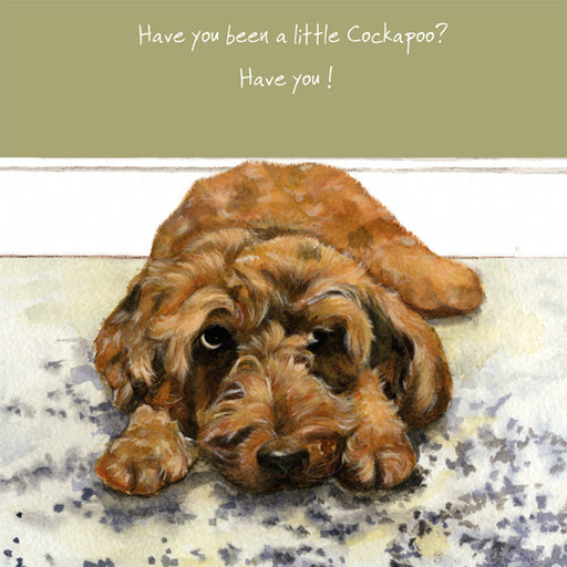 Cockapoo Card - Have you been a little Cockapoo? Have you! From The Little Dog Laughed