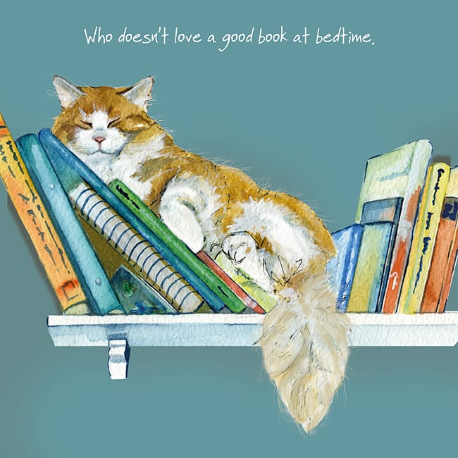 Ginger and White Cat Card - Who doesn't love a good book at bedtime. From The Little Dog Laughed