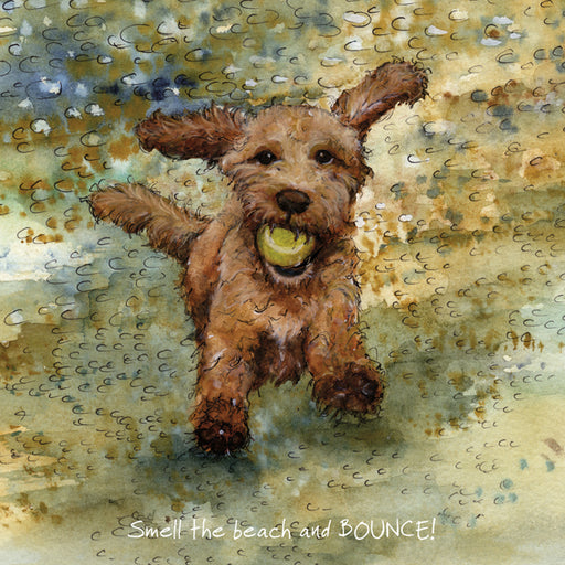 Cockapoo Card - Small the beach and BOUNCE! From The Little Dog Laughed