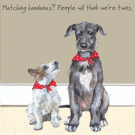 Dog Card - Matching Bandanas? From The Little Dog Laughed
