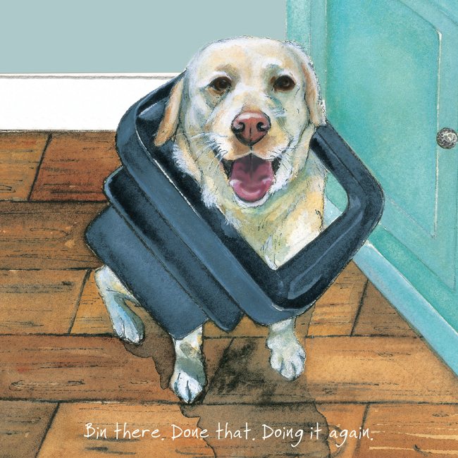 Labrador Card - Bin there, Done that, Doing it again.... From The Little Dog Laughed