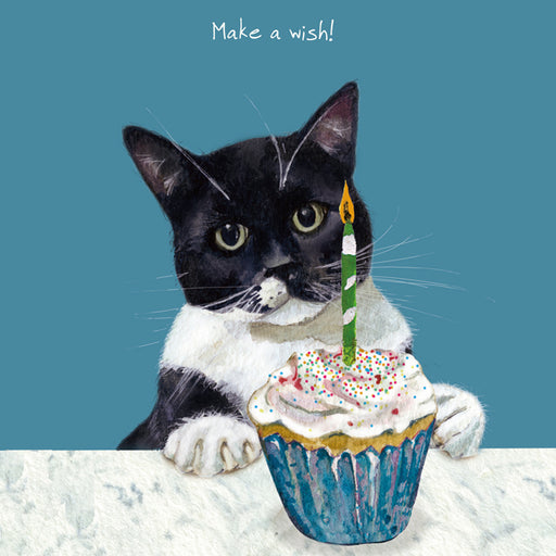 Cat Card - Make a wish! From The Little Dog Laughed