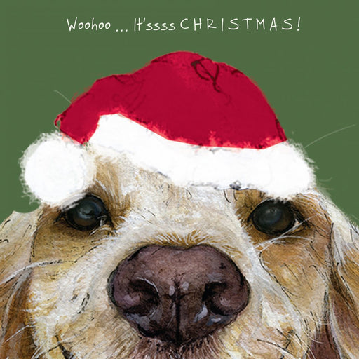 Spaniel Christmas Card - Woohoo....it's CHRISTMAS! - From The Little Dog Laughed