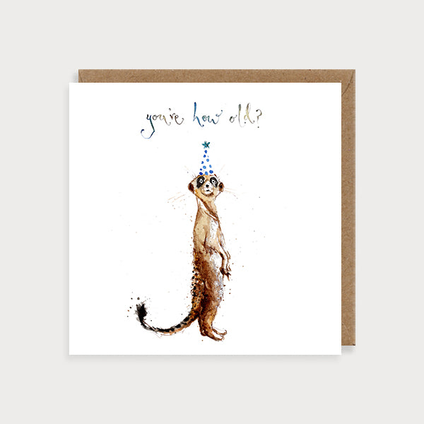 Meer Cat Birthday Card - you're how old?  Louise Mulgrew