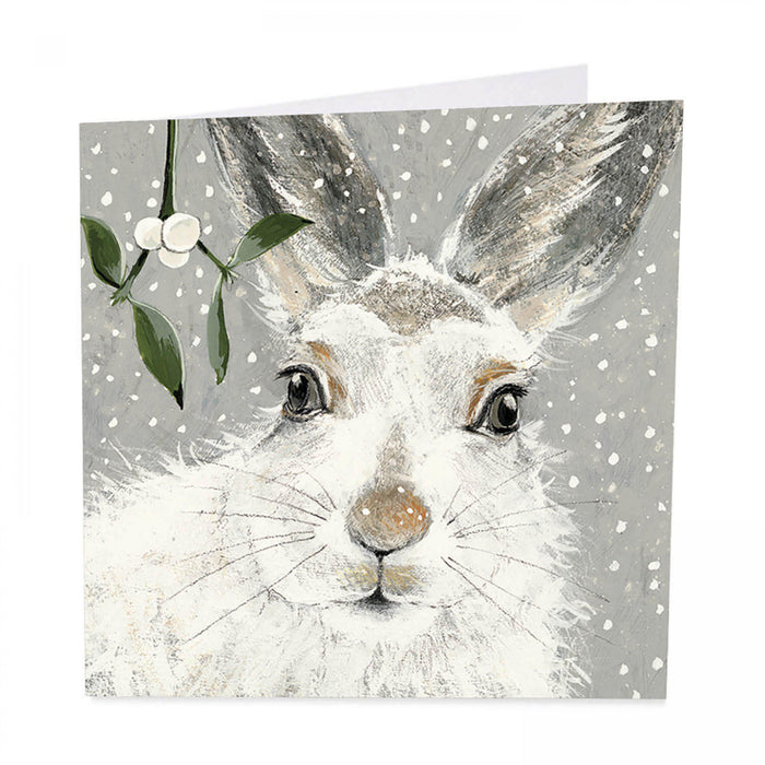 Hare Christmas Cards - Winter Wishes - Pack of 6