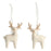 Hanging Ivory Reindeer Pair with gold finish Tree Decorations