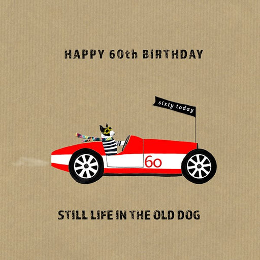 60th Birthday Card - Still Life in the Old Dog From Sally Scaffardi Design
