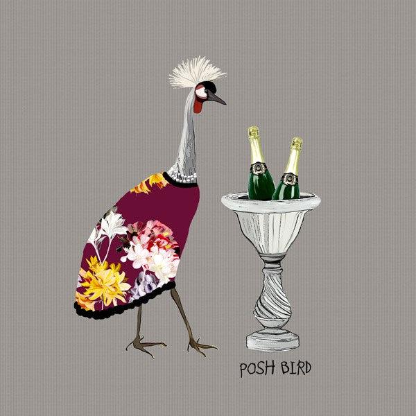 Posh Bird Card, From Sally Scaffardi Design