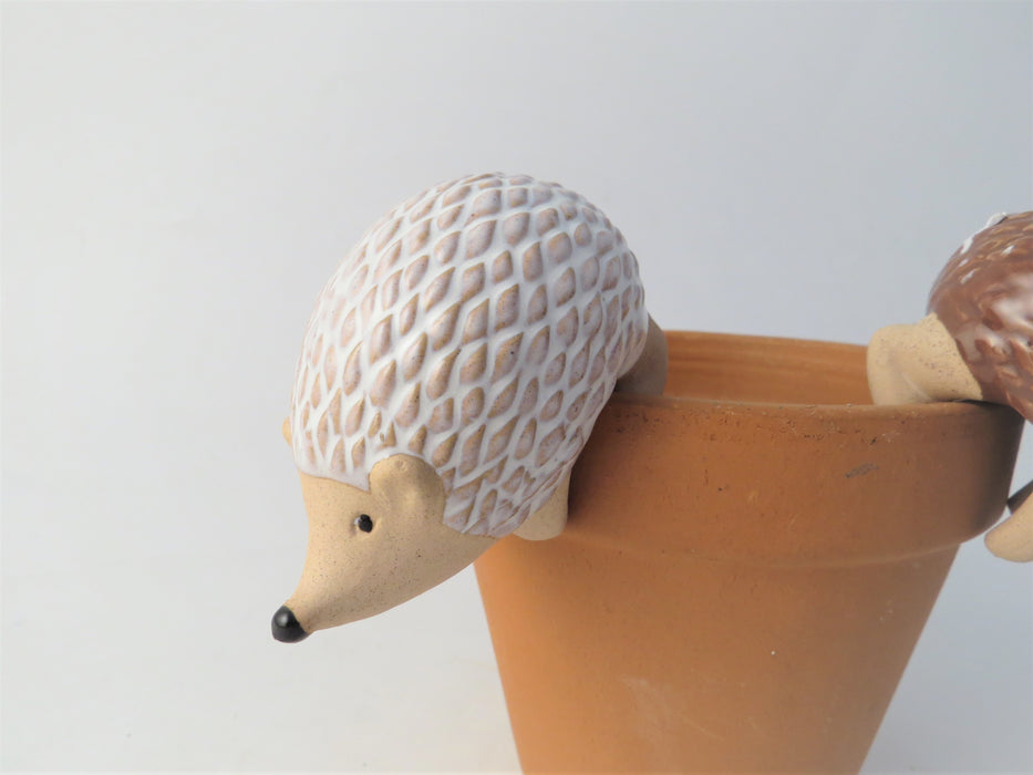 Hedgehog Pot Planter Pair