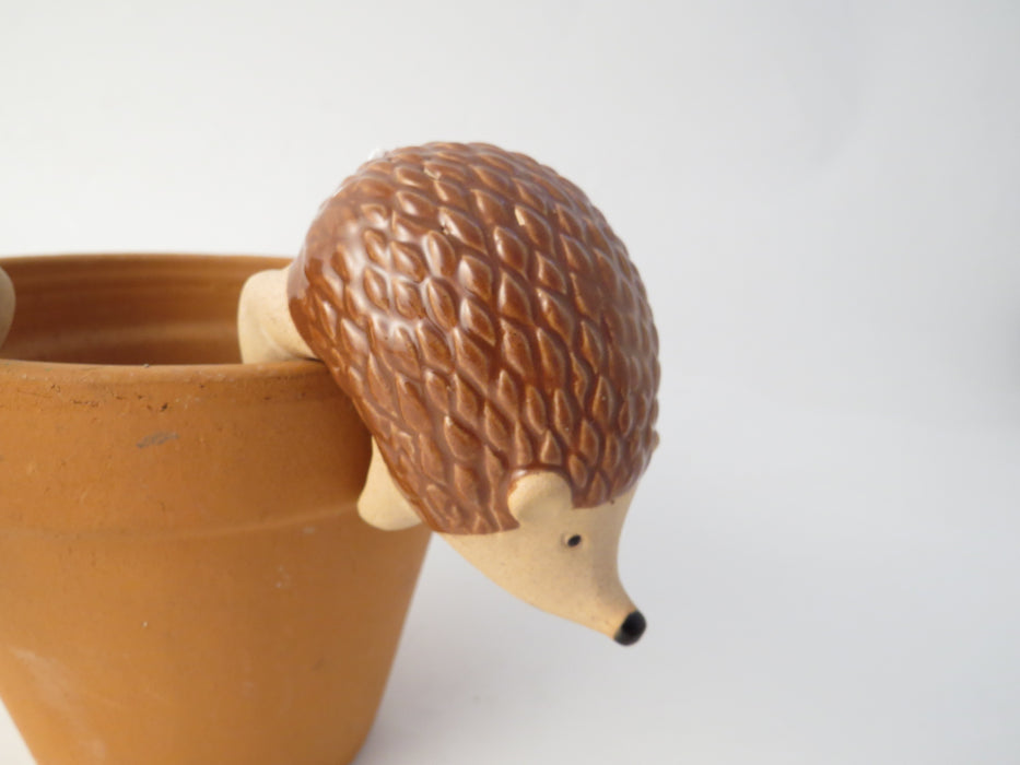 Hedgehog Pot Planter Pair