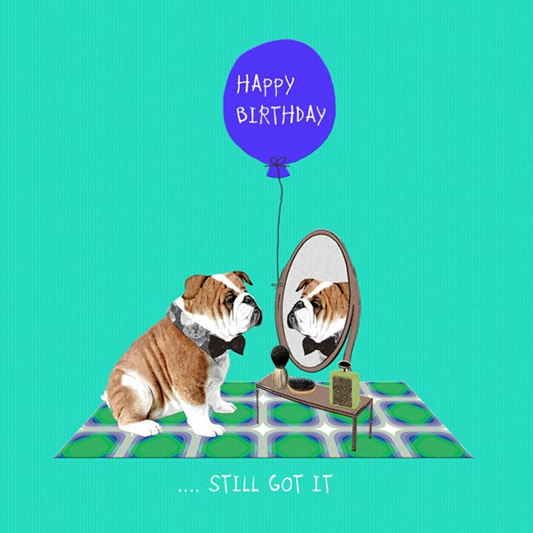 Bulldog Birthday Card, Still Got It.  From Sally Scaffardi Design