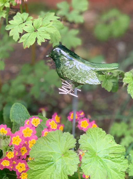 Garden Robin on Stake - Brushed Metal Bird - AluminArk Collection - 4 Colours - GingerInteriors.co.uk