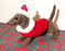 Christmas Sausage Dog - Willy Wonka Christmas