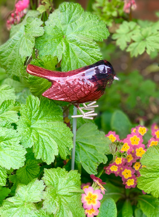 Garden Robin on Stake - Brushed Metal Bird - AluminArk Collection - 4 Colours