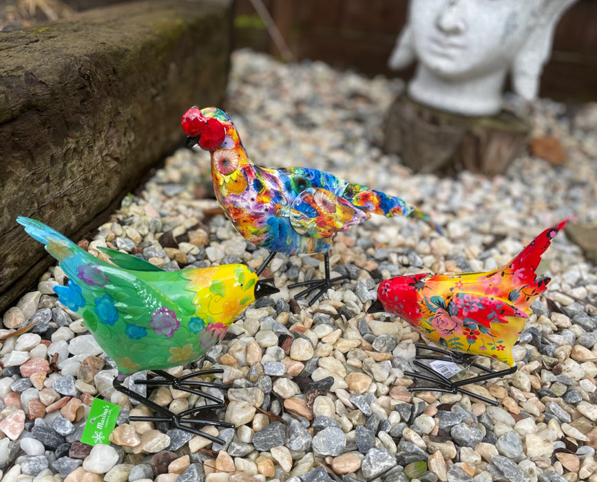 Blue and Green Chicken - Garden Bird