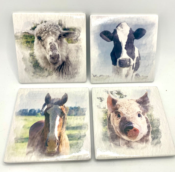 Farmyard Coasters - Set Of Four Ceramic Coasters in box