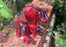 Brushed Red Elephant Trunk Up - AluminArk Collection - 4 Sizes