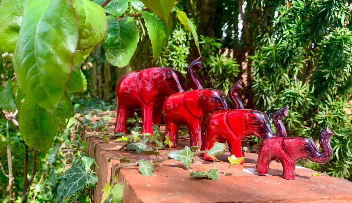 Brushed Red Elephant Trunk Up - AluminArk Collection - 4 Sizes