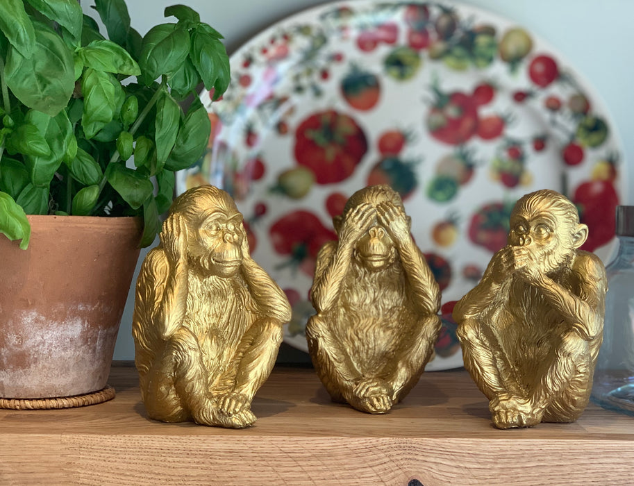 Set of 3 Wise Monkey's - Large