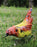Red and Yellow Floral Chicken - Garden Bird