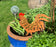 Garden Rooster Figure Amelia - Garden Stake Rusty Finish 50cm