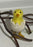 Standing Easter Decoration - Hatching Chick - Felt So Good