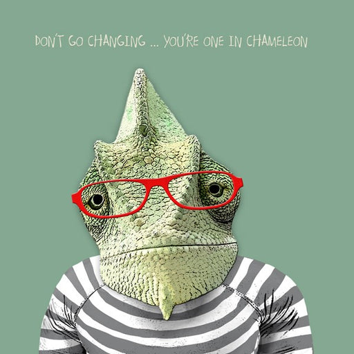 Don't Go Changing - From Sally Scaffardi Design