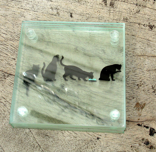  Black Cat Story Coasters - Set of 4